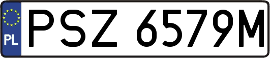 PSZ6579M