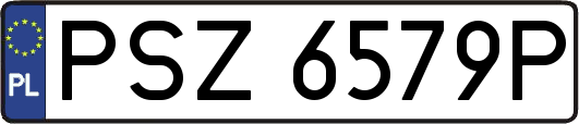 PSZ6579P