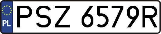 PSZ6579R