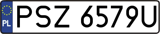 PSZ6579U