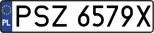 PSZ6579X