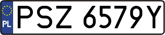 PSZ6579Y