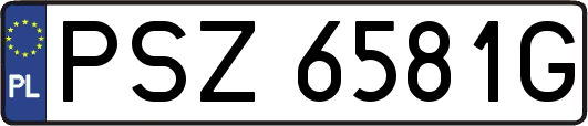 PSZ6581G