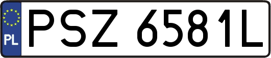 PSZ6581L