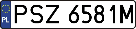 PSZ6581M