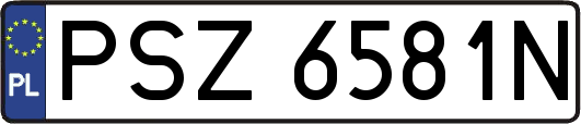 PSZ6581N