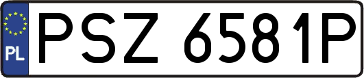 PSZ6581P