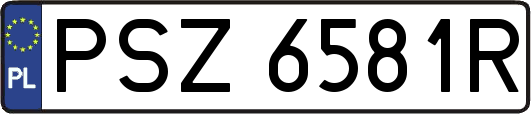 PSZ6581R