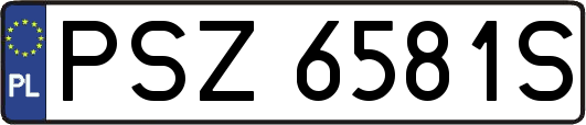 PSZ6581S