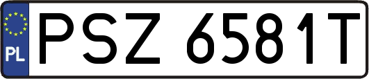 PSZ6581T