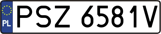 PSZ6581V
