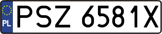 PSZ6581X