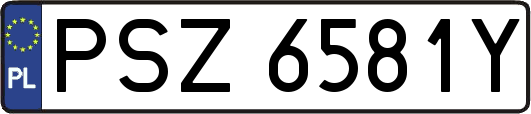 PSZ6581Y