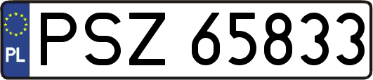 PSZ65833