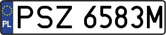 PSZ6583M
