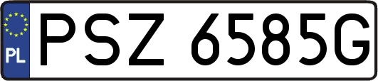PSZ6585G