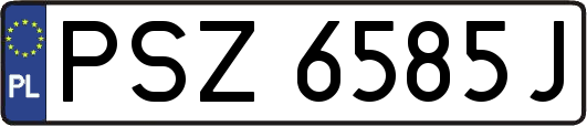 PSZ6585J