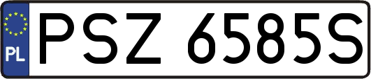 PSZ6585S