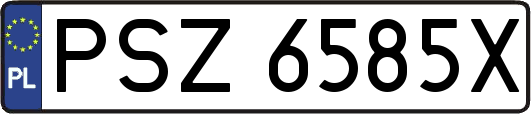 PSZ6585X