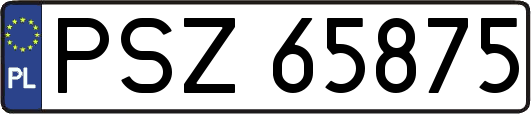 PSZ65875