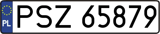 PSZ65879