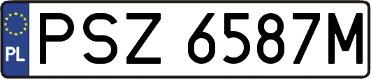PSZ6587M