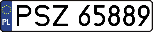 PSZ65889