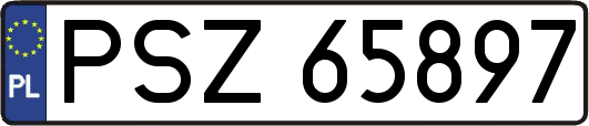 PSZ65897