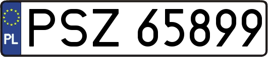 PSZ65899