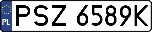 PSZ6589K