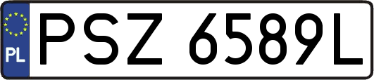 PSZ6589L