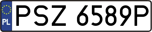 PSZ6589P
