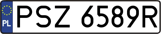 PSZ6589R
