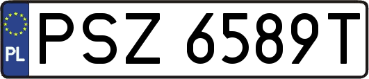 PSZ6589T