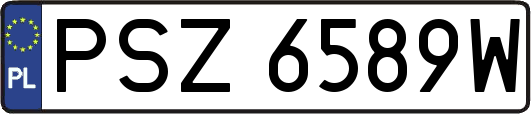 PSZ6589W