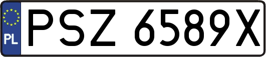PSZ6589X
