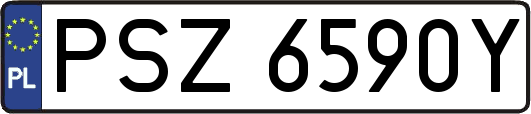 PSZ6590Y