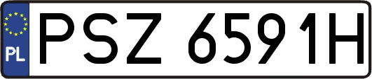 PSZ6591H