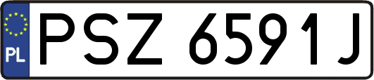 PSZ6591J