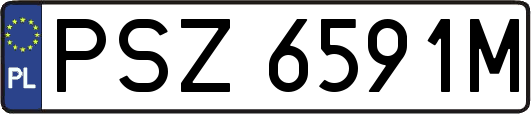 PSZ6591M