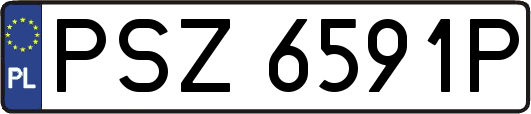 PSZ6591P