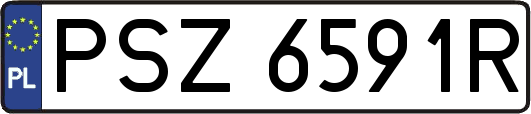 PSZ6591R