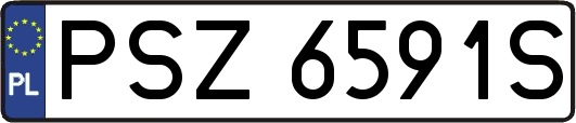 PSZ6591S