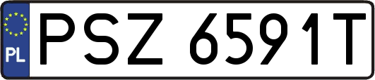 PSZ6591T