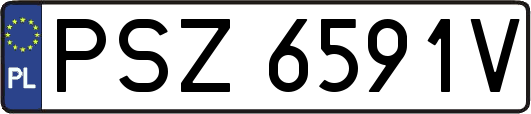 PSZ6591V