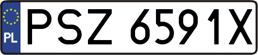 PSZ6591X