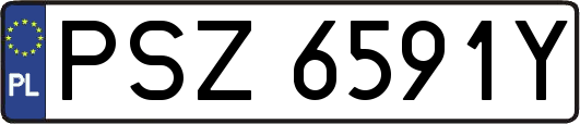 PSZ6591Y