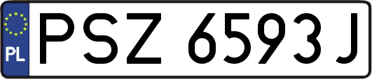 PSZ6593J