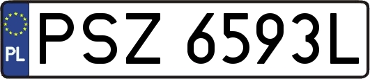 PSZ6593L