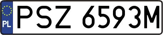 PSZ6593M